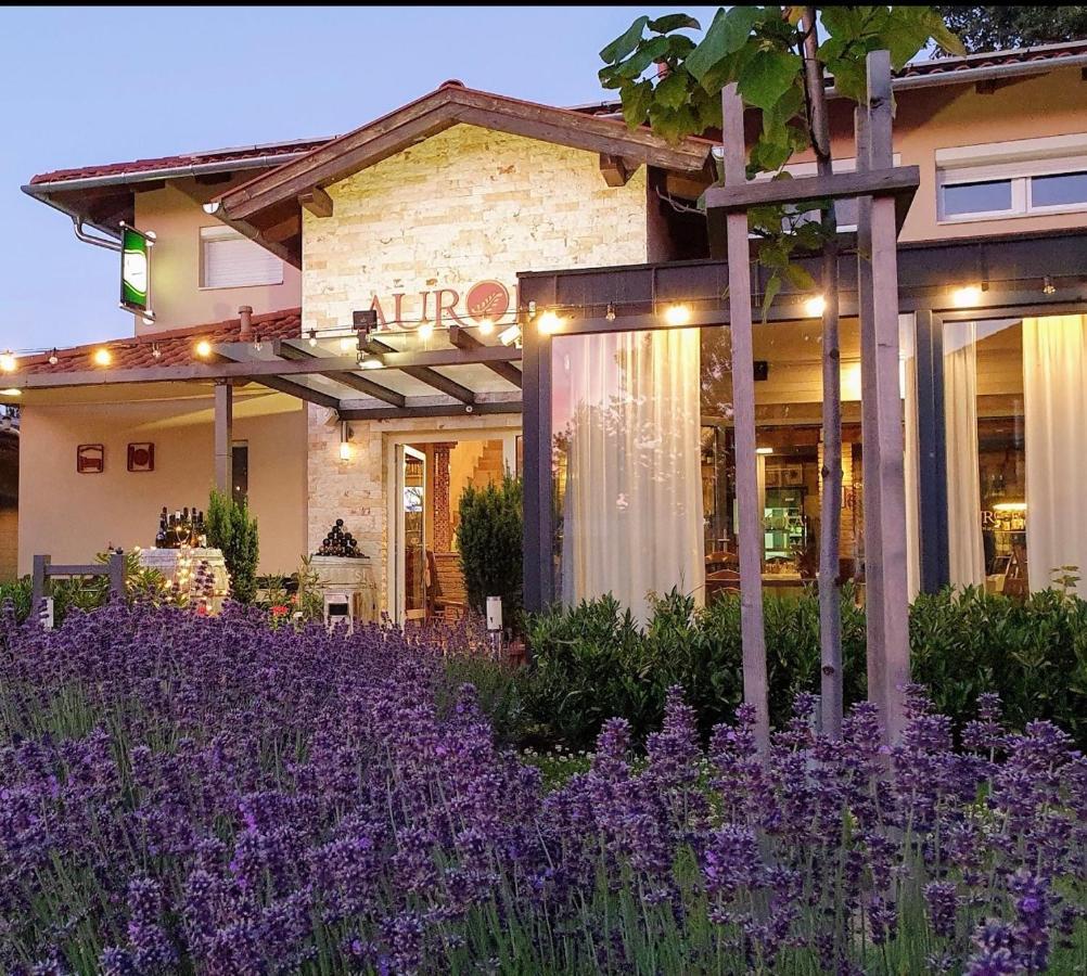 Bed and Breakfast Aurora Panzió Bük Exterior foto
