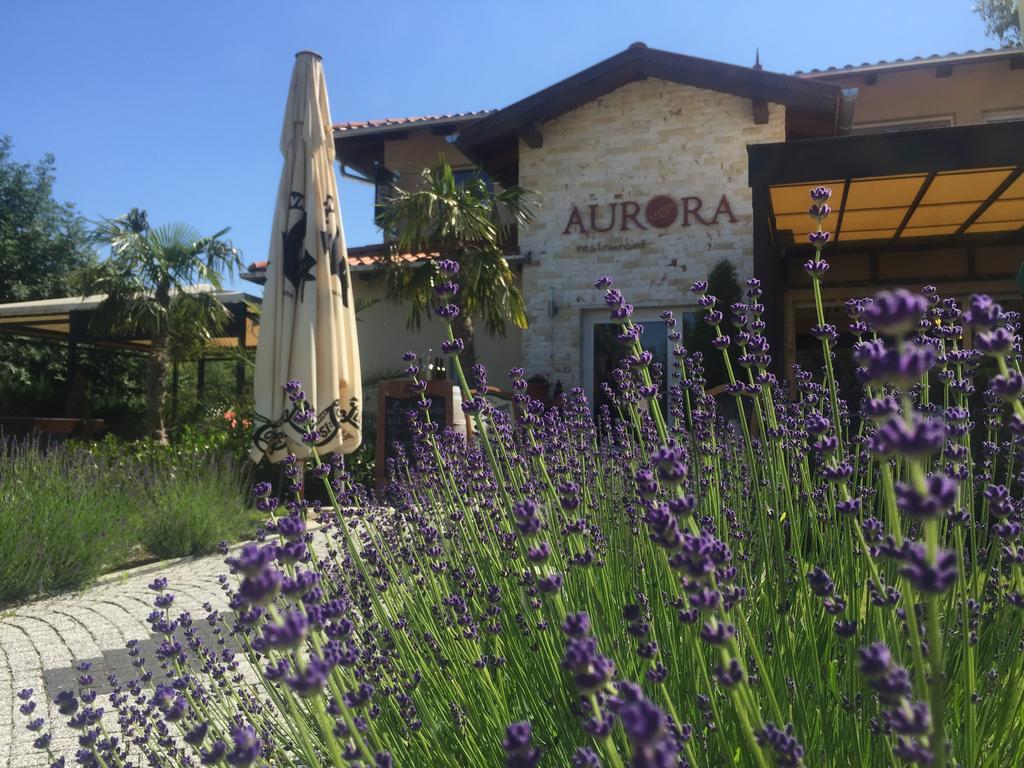 Bed and Breakfast Aurora Panzió Bük Exterior foto